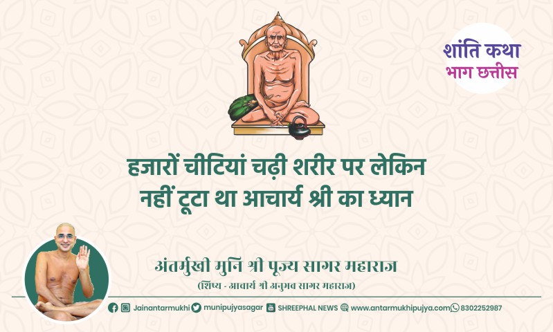 भाग छत्तीस : हजारों चीटियां चढ़ी शरीर पर लेकिन नहीं टूटा था आचार्य श्री का ध्यान – अंतर्मुखी मुनि पूज्य सागर महाराज